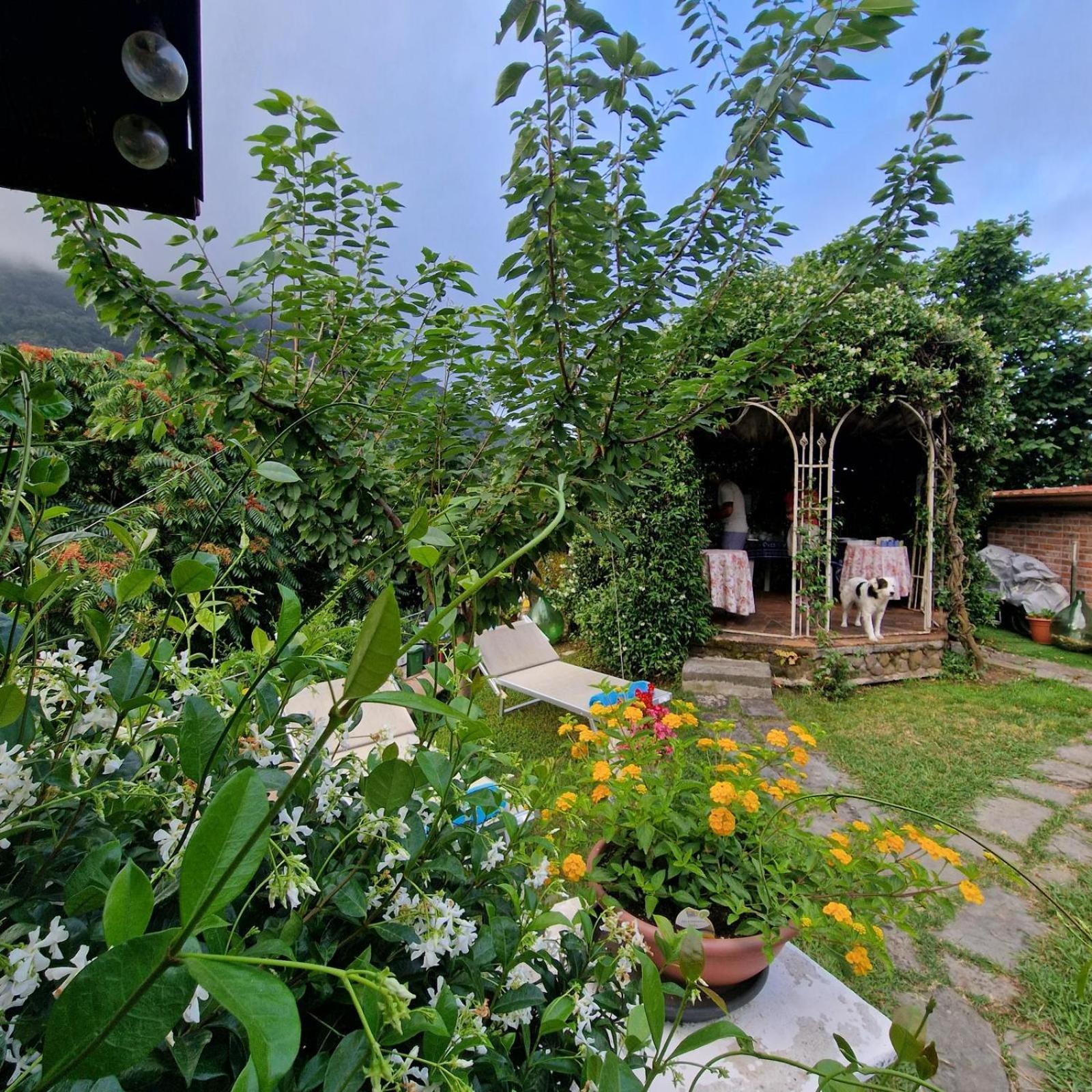 Jasmine Cottage Luni Екстериор снимка